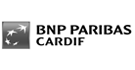<img src="bnp.png" alt="bnp paribas cardif logo" />